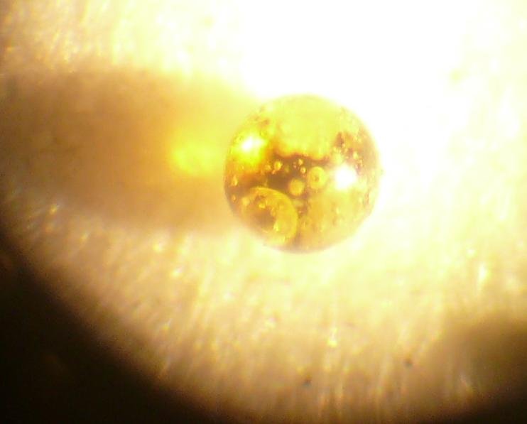 33 Magnetic glass spherule
